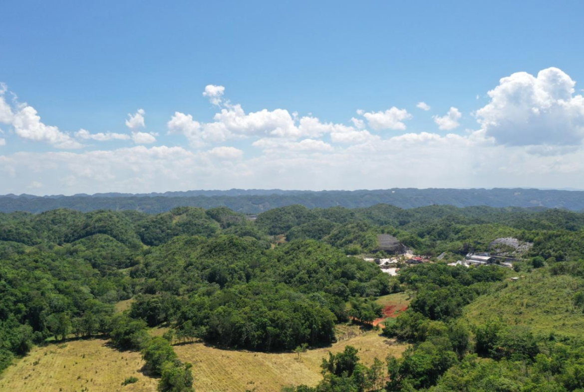 Twenty-Third image of Chippenham Park, Bamboo in Bamboo, St. Ann, Jamaica - property is For Sale