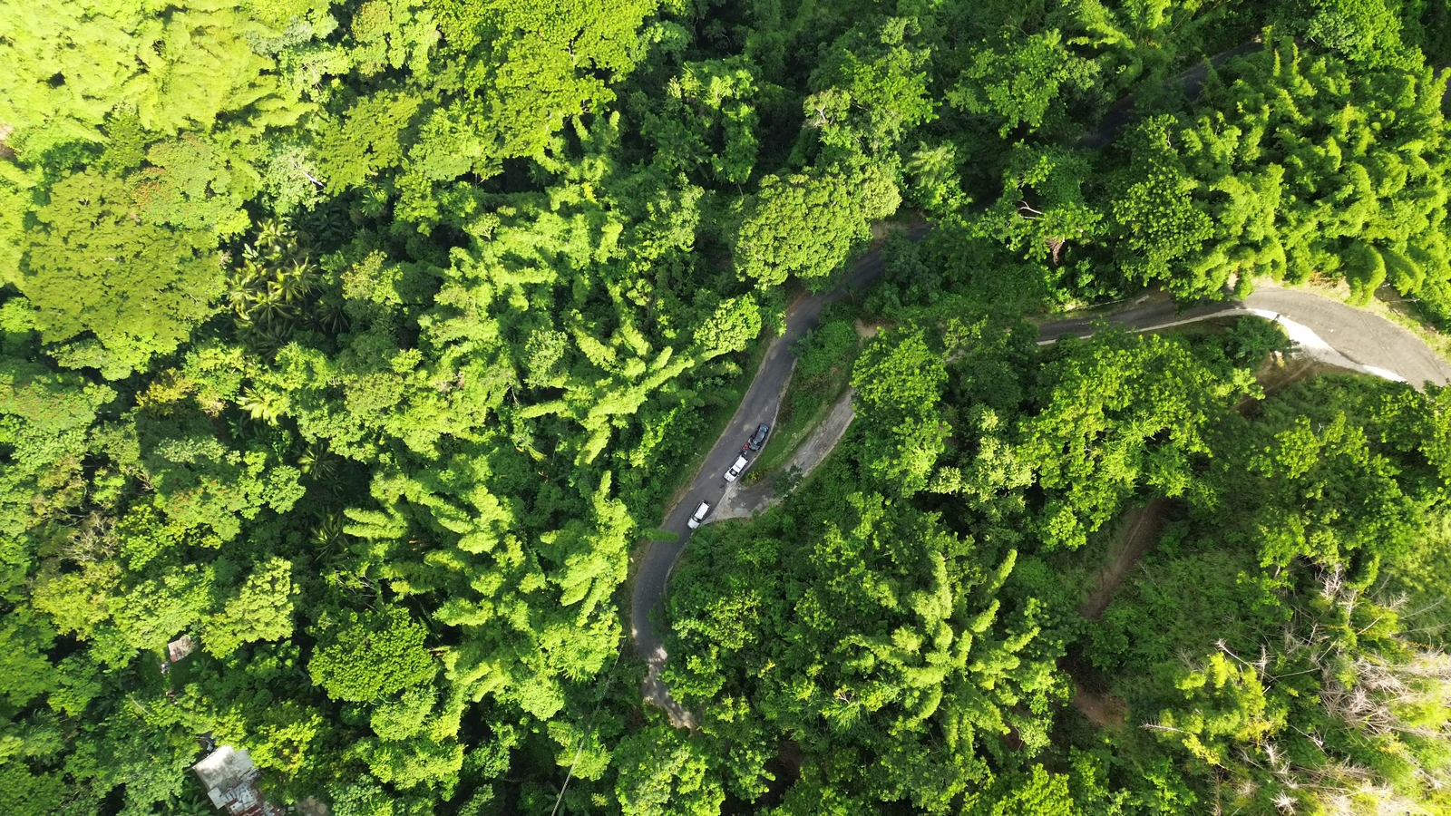 Third image of Norbrook Heights in Kingston 8, St. Andrew, Jamaica - property is For Sale