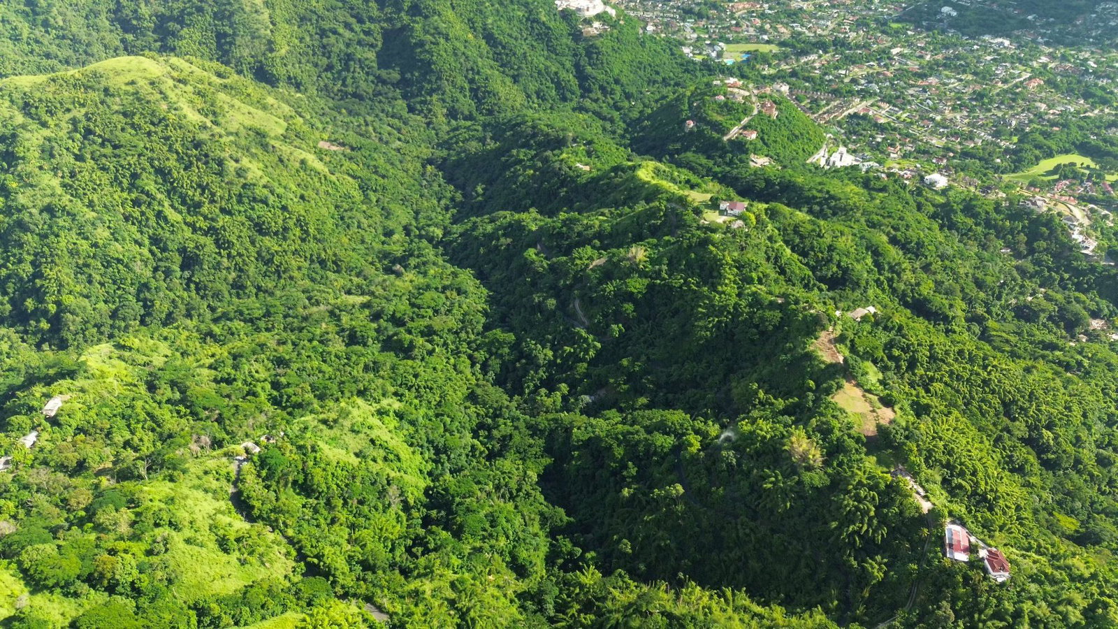 Fourth image of Norbrook Heights in Kingston 8, St. Andrew, Jamaica - property is For Sale