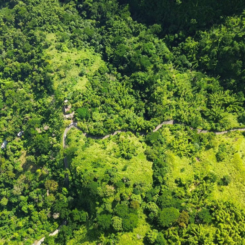 First image of Norbrook Heights in Kingston 8, St. Andrew, Jamaica - property is For Sale