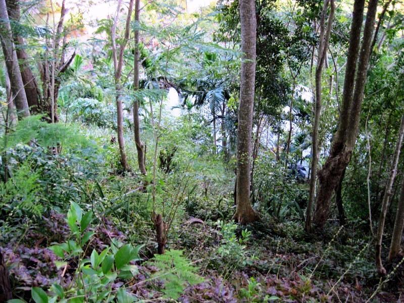 Sixth image of Seaview in Stony Hill P.O., St. Andrew, Jamaica - property is For Sale