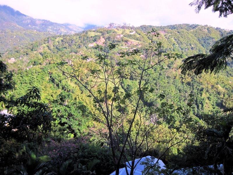 Eighth image of Seaview in Stony Hill P.O., St. Andrew, Jamaica - property is For Sale