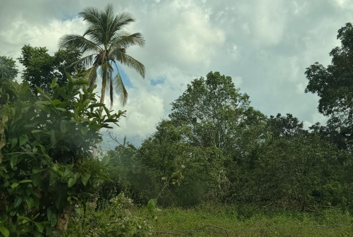 Third image of Evergreen in Comfort Hall, Manchester, Jamaica - property is For Sale