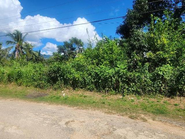 Third image of Russell Pen, Threadways in Linstead, St. Catherine, Jamaica - property is For Sale
