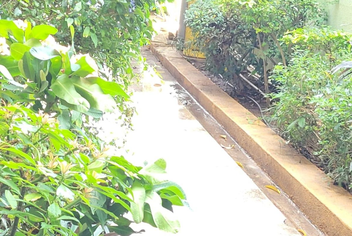 Seventh image of 3-17 17 Maple Leaf Avenue, st in Kingston 10, St. Andrew, Jamaica - property is For Sale