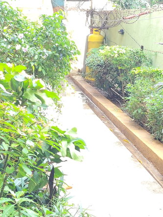 Seventh image of 3-17 17 Maple Leaf Avenue, st in Kingston 10, St. Andrew, Jamaica - property is For Sale