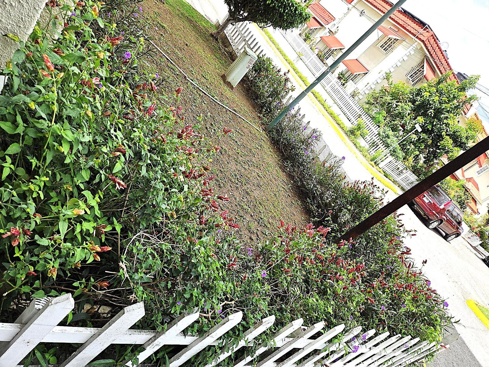 Fifteenth image of 402-oaklands Constant Spring rd in Kingston 8, St. Andrew, Jamaica - property is For Sale