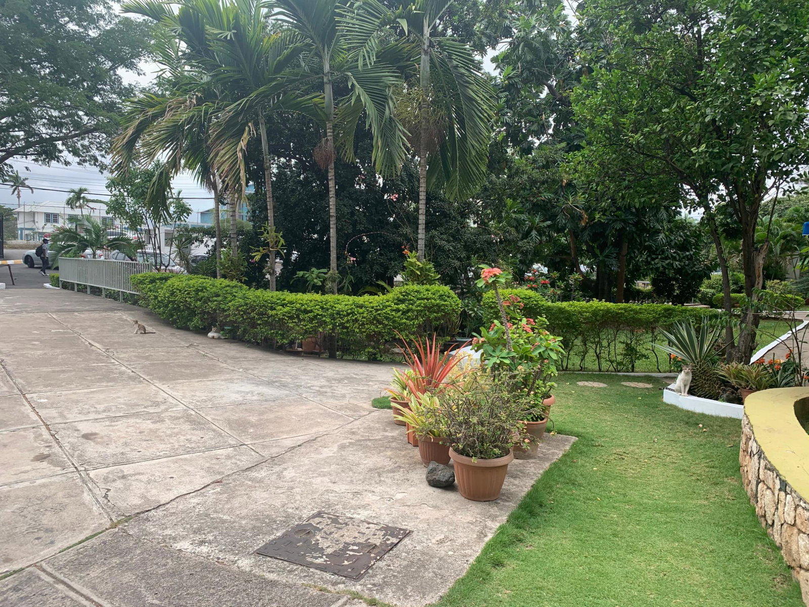 Fifth image of 58-96b Old Hope Road in Kingston 6, St. Andrew, Jamaica - property is For Sale