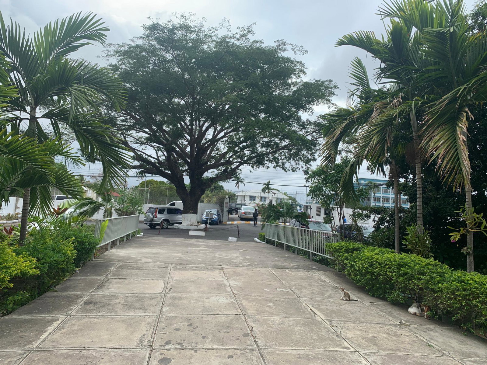 Sixth image of 58-96b Old Hope Road in Kingston 6, St. Andrew, Jamaica - property is For Sale