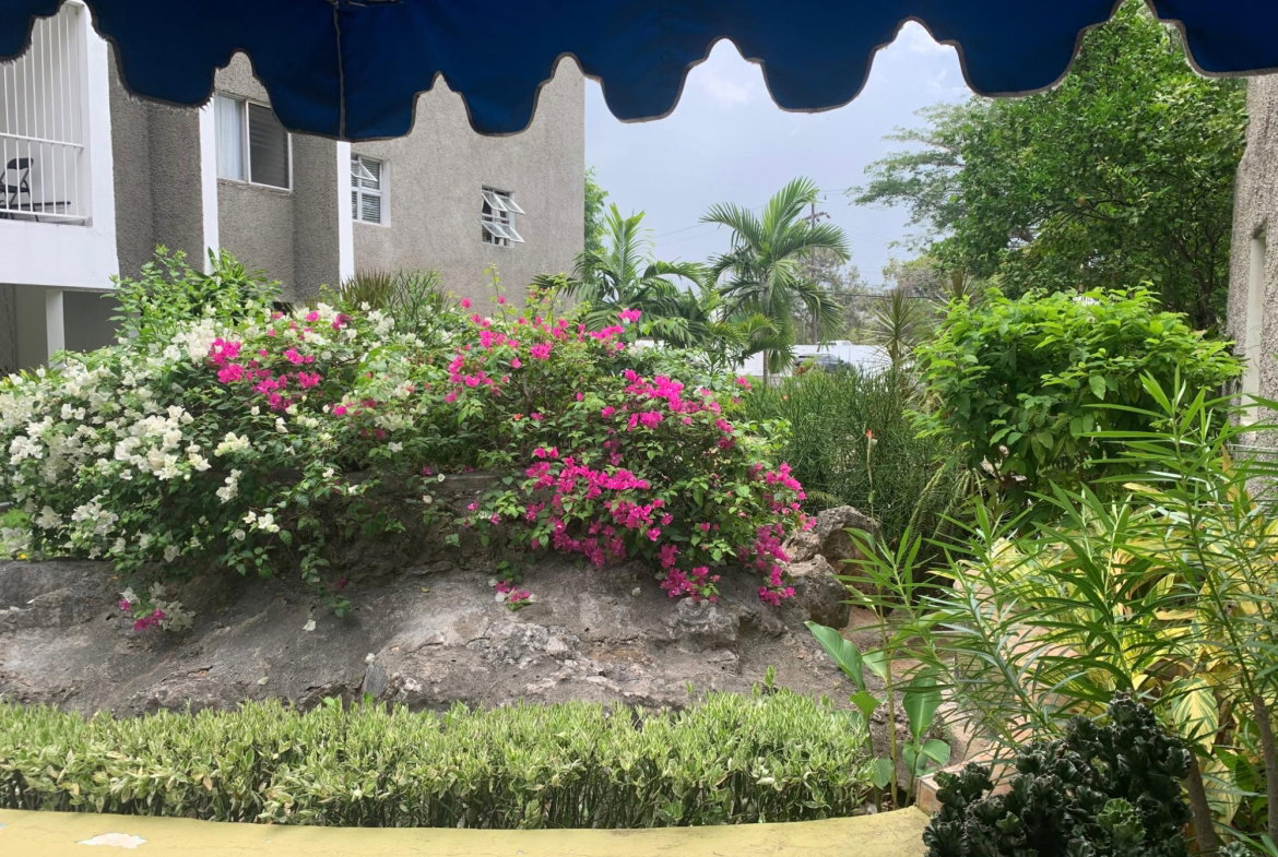 Eighth image of 58-96b Old Hope Road in Kingston 6, St. Andrew, Jamaica - property is For Sale