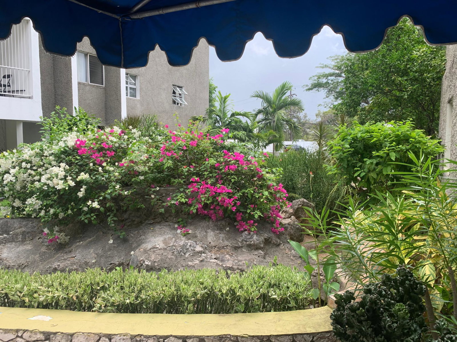 Eighth image of 58-96b Old Hope Road in Kingston 6, St. Andrew, Jamaica - property is For Sale