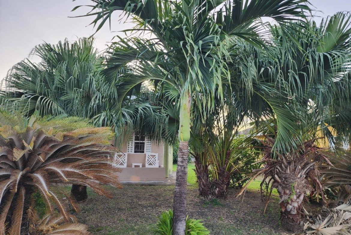 Eighth image of 230 Calabash Blvd Drax Hall in Drax Hall Estate, St. Ann, Jamaica - property is For Sale