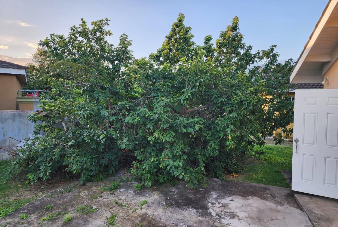 Ninth image of 230 Calabash Blvd Drax Hall in Drax Hall Estate, St. Ann, Jamaica - property is For Sale