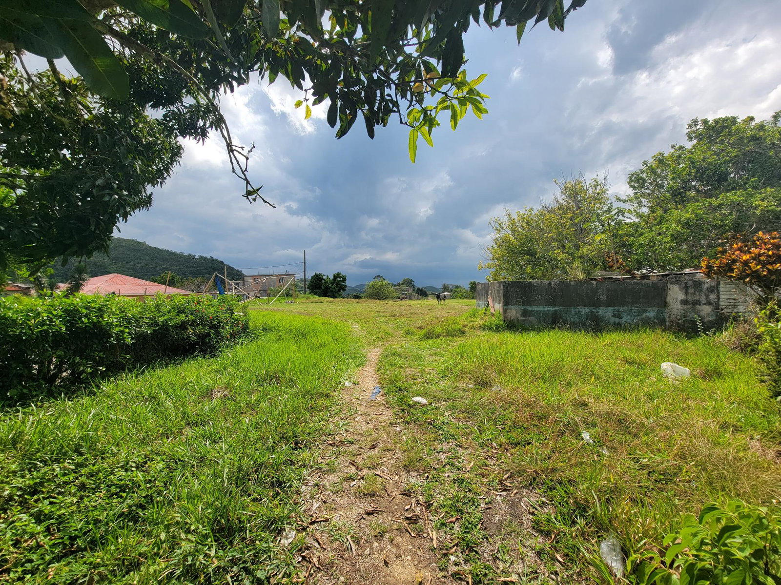 Seventh image of Job Lane in Christiana, Manchester, Jamaica - property is For Sale