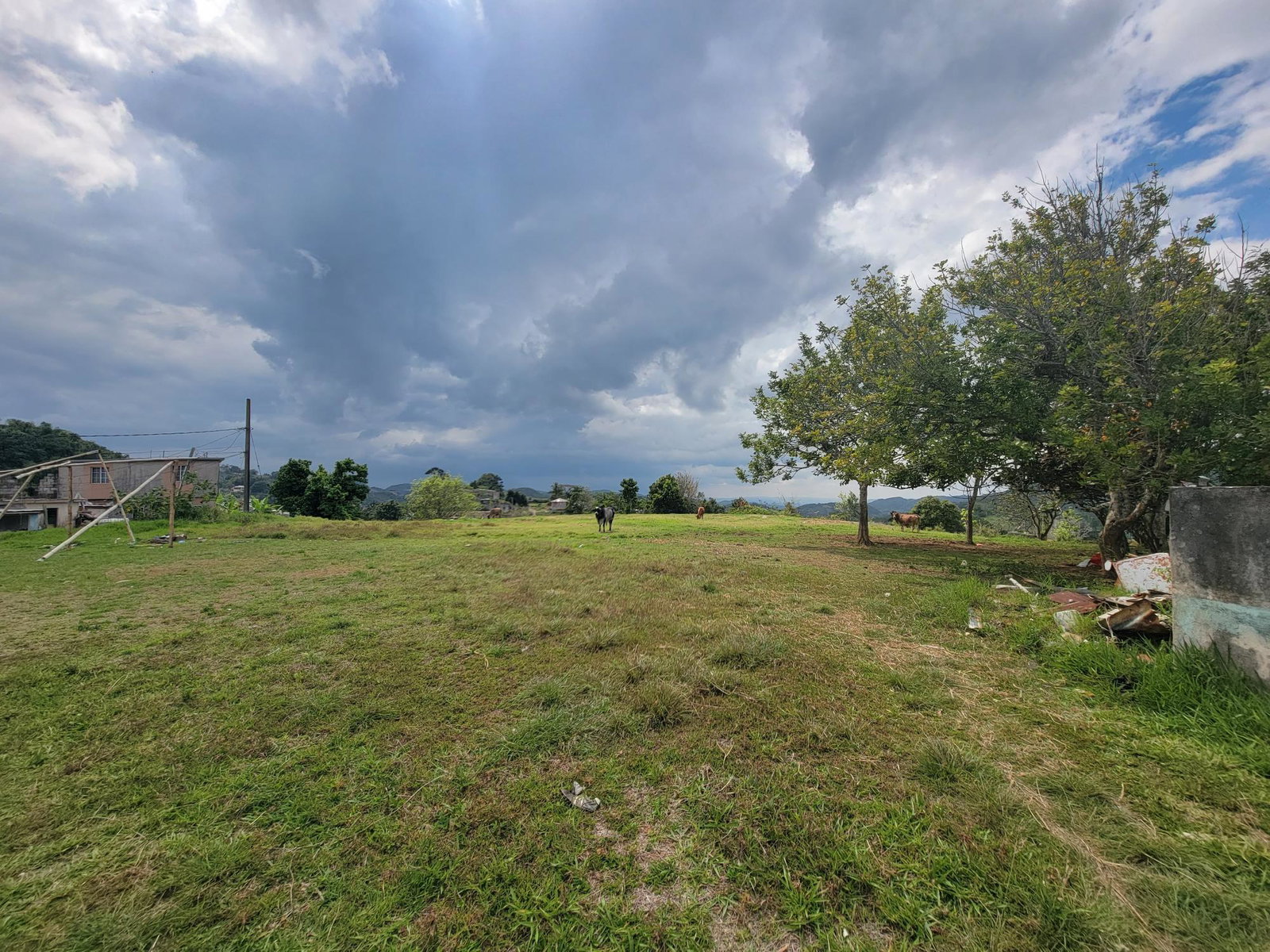 Tenth image of Job Lane in Christiana, Manchester, Jamaica - property is For Sale