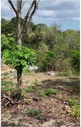 Fourteenth image of Brompton, St. Elizabeth in Fyffes Pen, St. Elizabeth, Jamaica - property is For Sale
