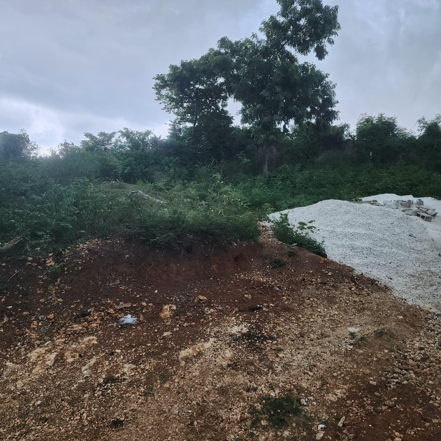 Nineteenth image of Brompton, St. Elizabeth in Fyffes Pen, St. Elizabeth, Jamaica - property is For Sale