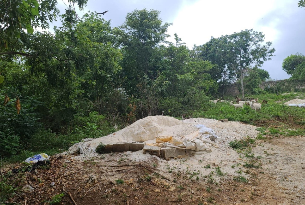 Twenty-Second image of Brompton, St. Elizabeth in Fyffes Pen, St. Elizabeth, Jamaica - property is For Sale