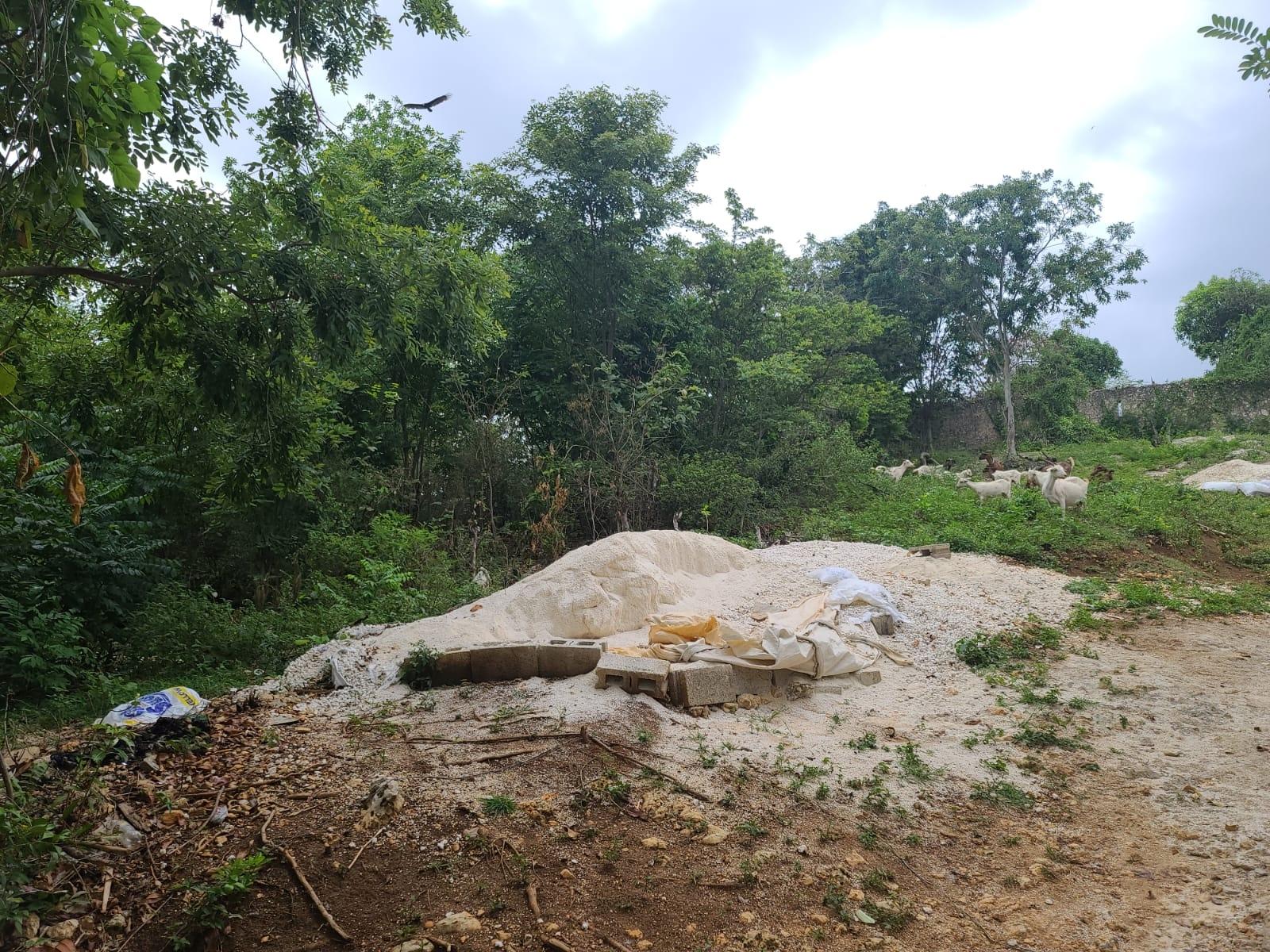 Twenty-Second image of Brompton, St. Elizabeth in Fyffes Pen, St. Elizabeth, Jamaica - property is For Sale
