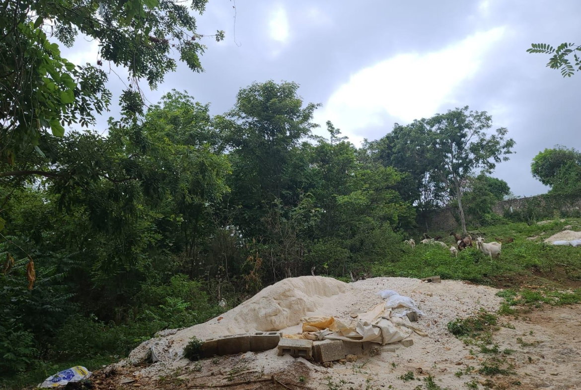 Twenty-Third image of Brompton, St. Elizabeth in Fyffes Pen, St. Elizabeth, Jamaica - property is For Sale