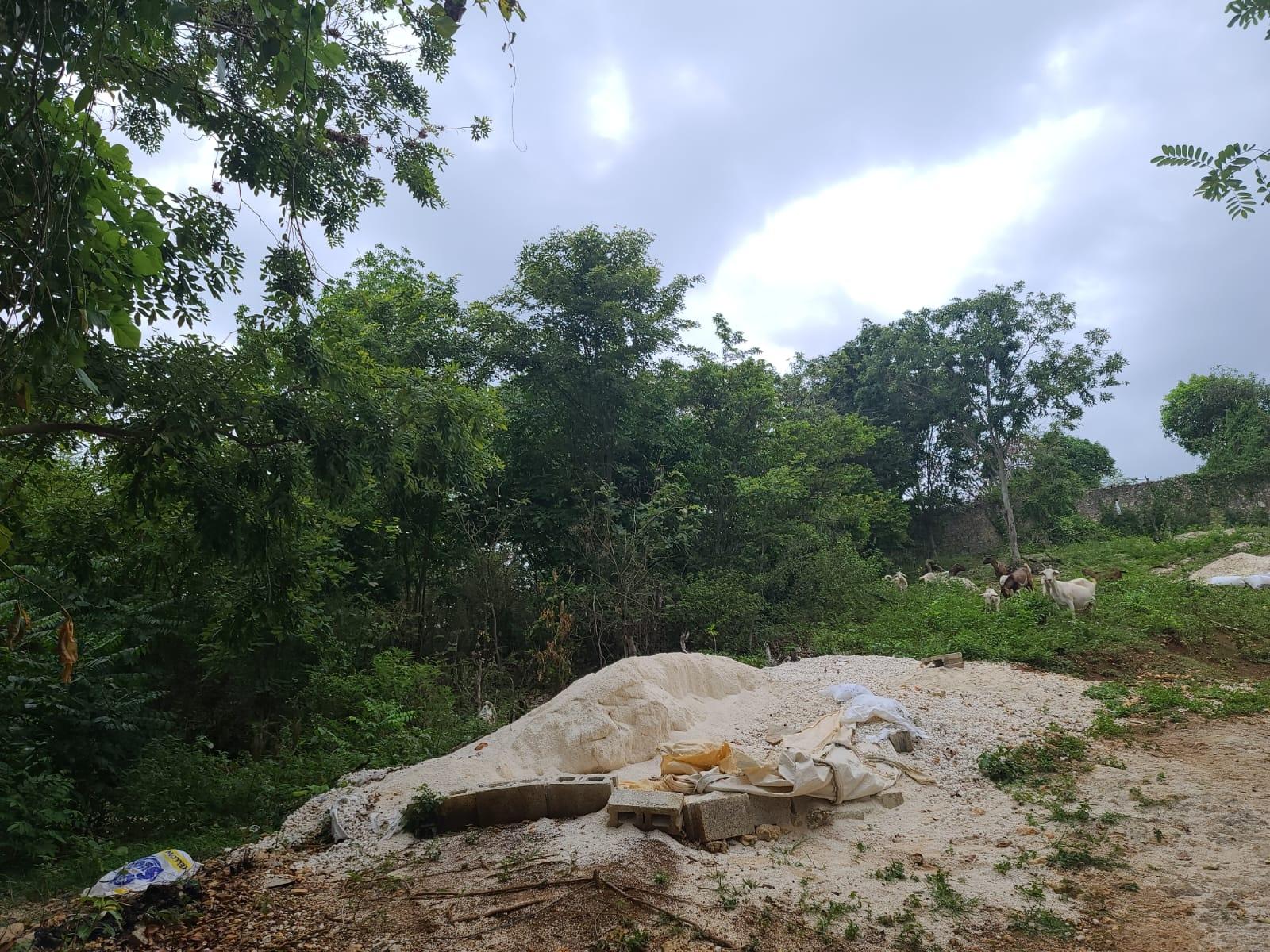 Twenty-Third image of Brompton, St. Elizabeth in Fyffes Pen, St. Elizabeth, Jamaica - property is For Sale