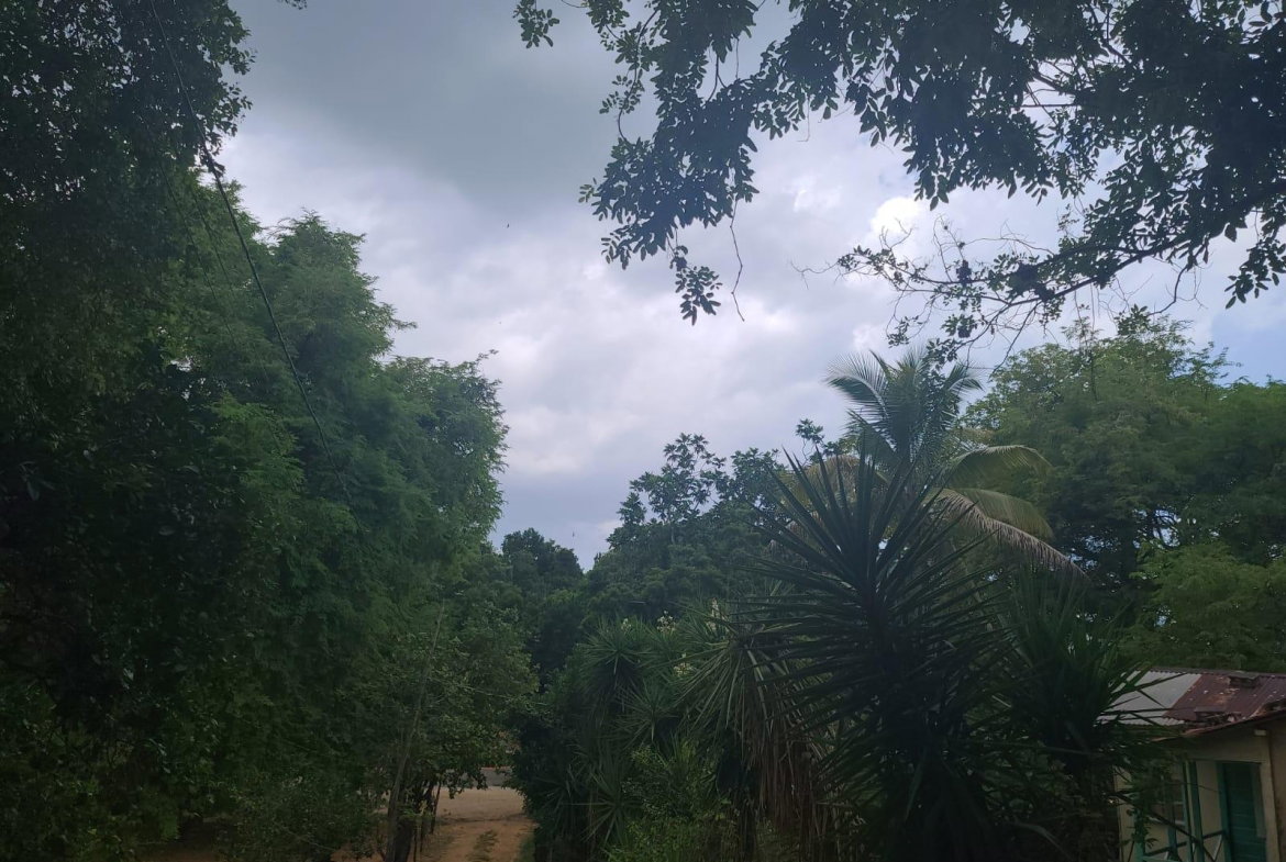 Twenty-Fifth image of Brompton, St. Elizabeth in Fyffes Pen, St. Elizabeth, Jamaica - property is For Sale
