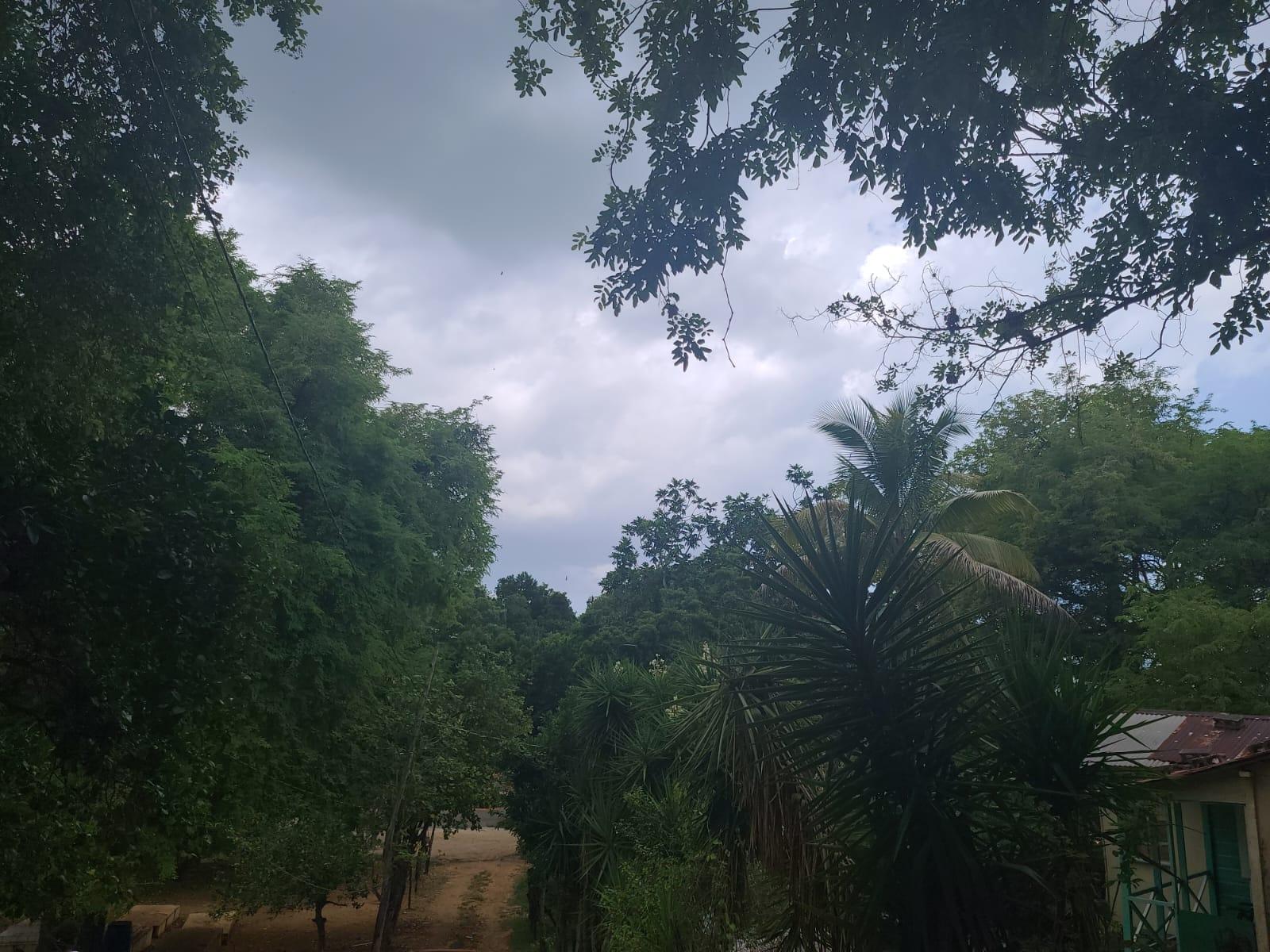 Twenty-Fifth image of Brompton, St. Elizabeth in Fyffes Pen, St. Elizabeth, Jamaica - property is For Sale