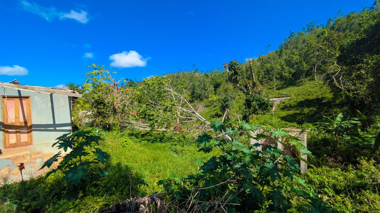 2.67-Acre-Residential-Lot-for-Sale-on-Main-Road-Rosetta-Alexandria-St.-Ann Eighth image of Rosetta Alexandria p o st in Alexandria, St. Ann, Jamaica - property is For Sale