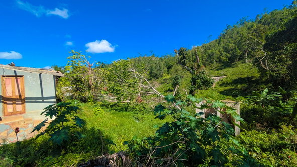 Eighth image of Rosetta Alexandria p o st in Alexandria, St. Ann, Jamaica - property is For Sale
