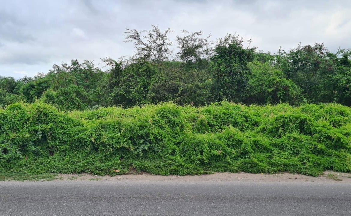 Second image of Church Pen in Old Harbour, St. Catherine, Jamaica - property is For Sale