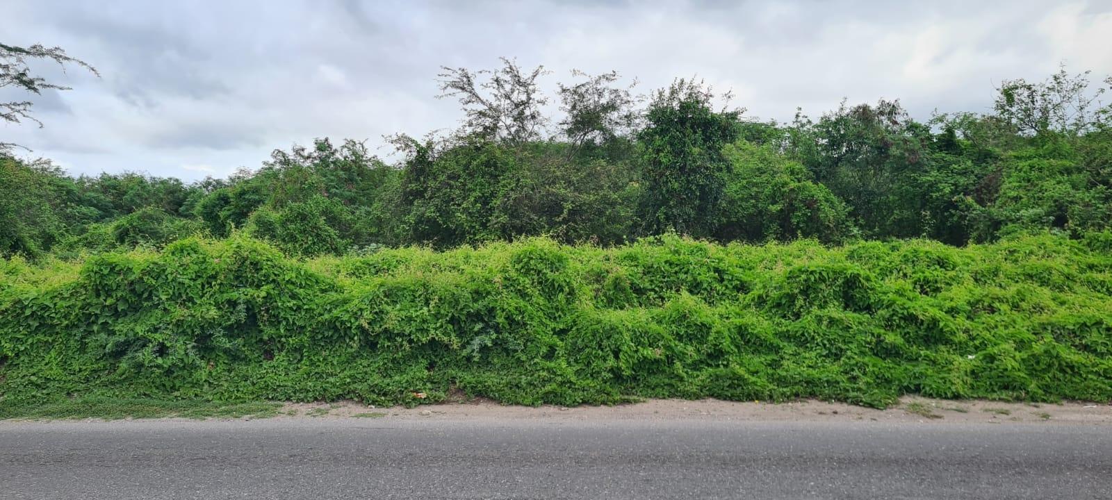 Second image of Church Pen in Old Harbour, St. Catherine, Jamaica - property is For Sale