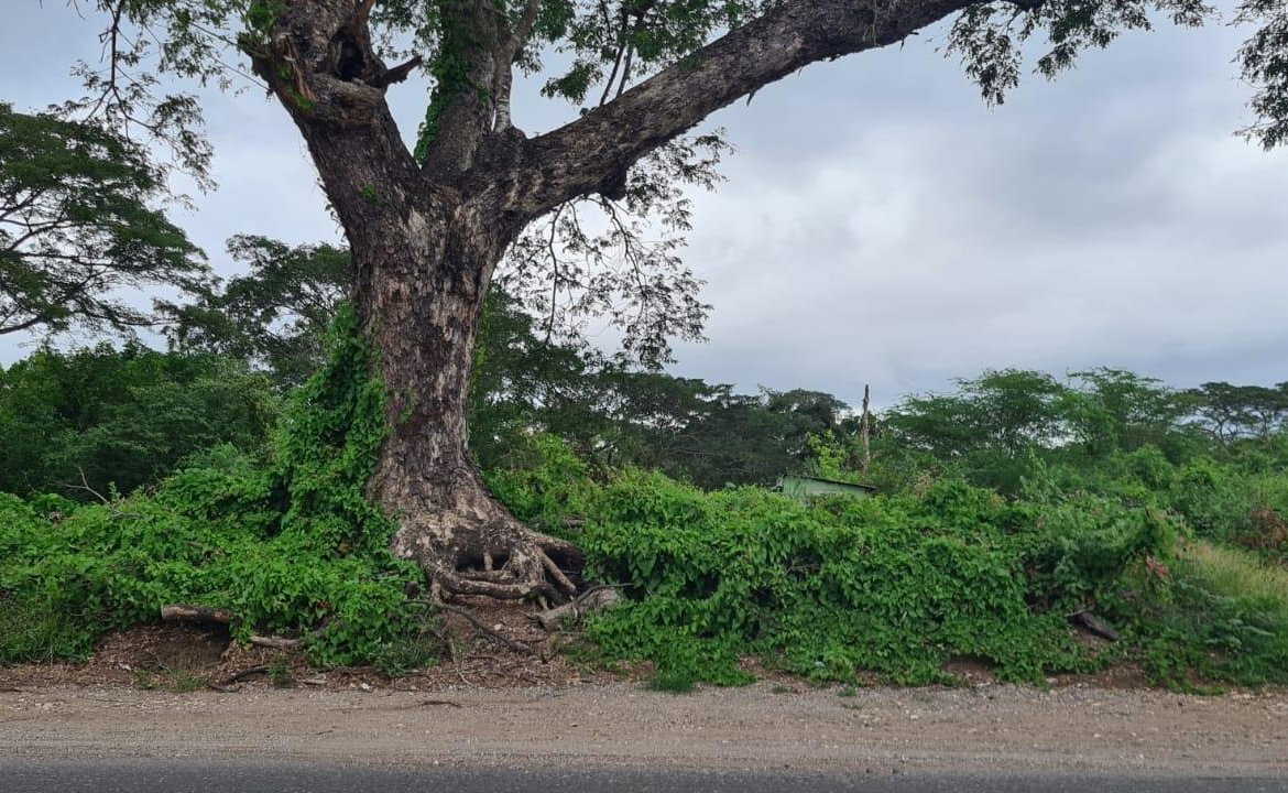 First image of Church Pen in Old Harbour, St. Catherine, Jamaica - property is For Sale
