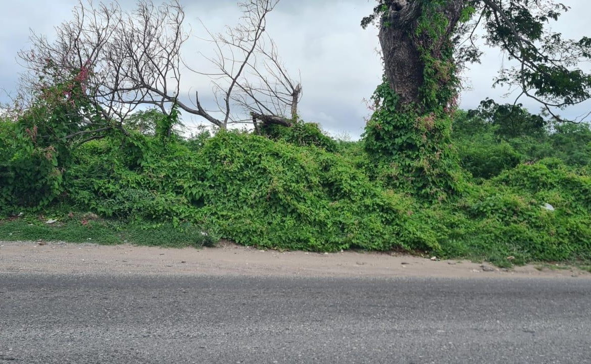 Third image of Church Pen in Old Harbour, St. Catherine, Jamaica - property is For Sale