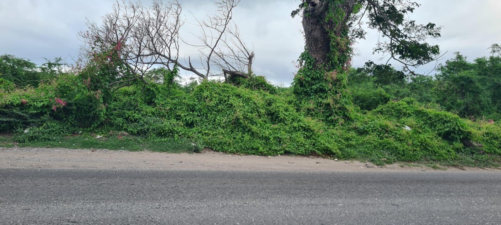 Third image of Church Pen in Old Harbour, St. Catherine, Jamaica - property is For Sale