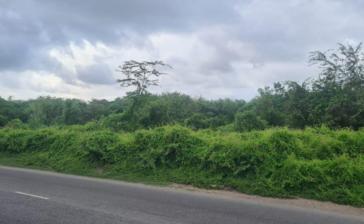 Fifth image of Church Pen in Old Harbour, St. Catherine, Jamaica - property is For Sale