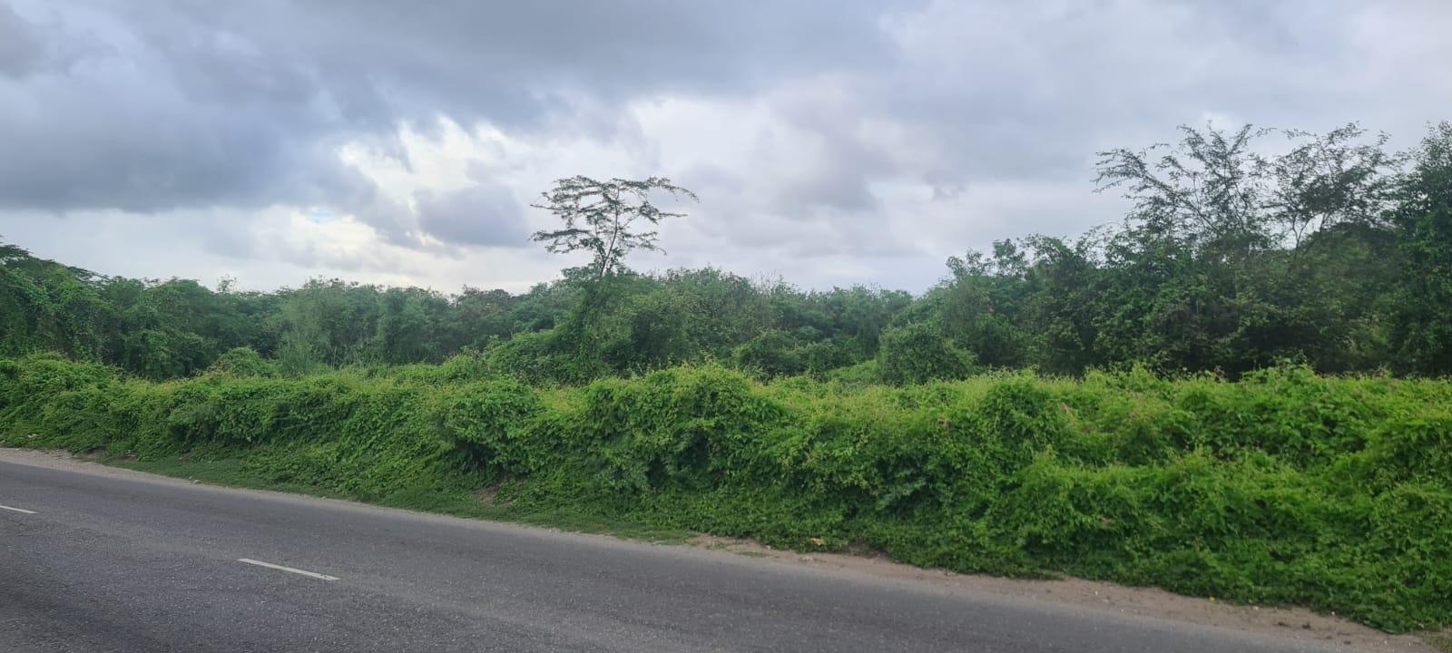 Fifth image of Church Pen in Old Harbour, St. Catherine, Jamaica - property is For Sale
