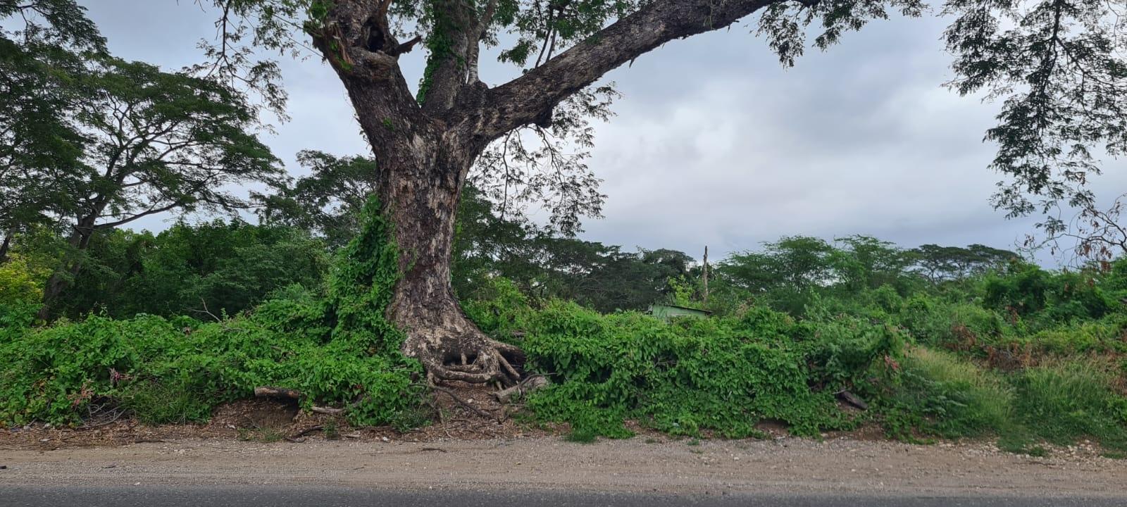 First image of Church Pen in Old Harbour, St. Catherine, Jamaica - property is For Sale