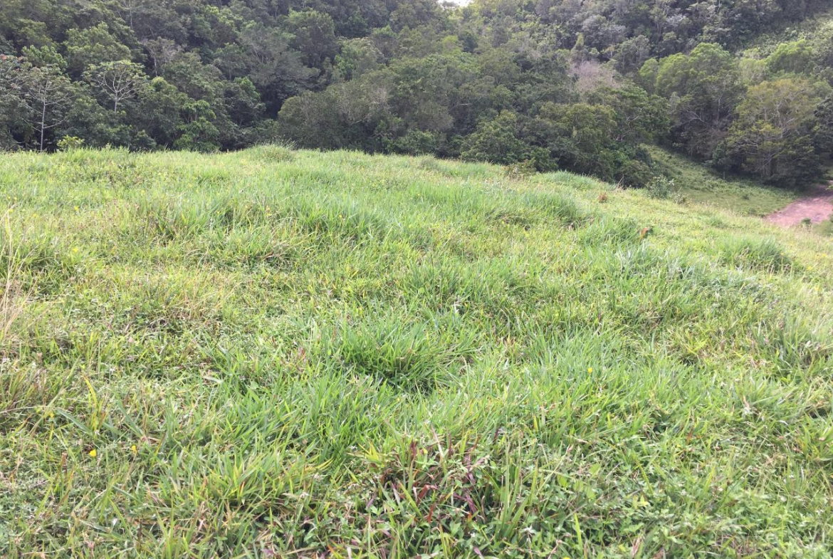 Second image of Chippenham Park, Bamboo in Bamboo, St. Ann, Jamaica - property is For Sale