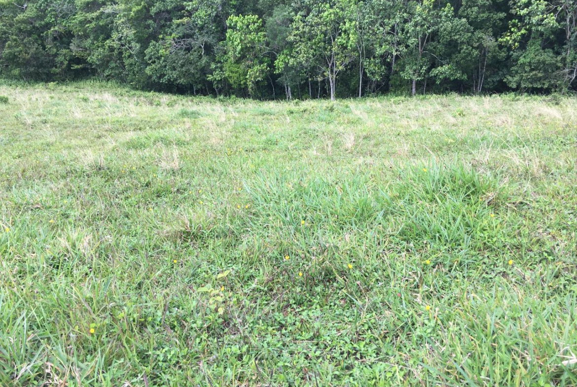 First image of Chippenham Park, Bamboo in Bamboo, St. Ann, Jamaica - property is For Sale