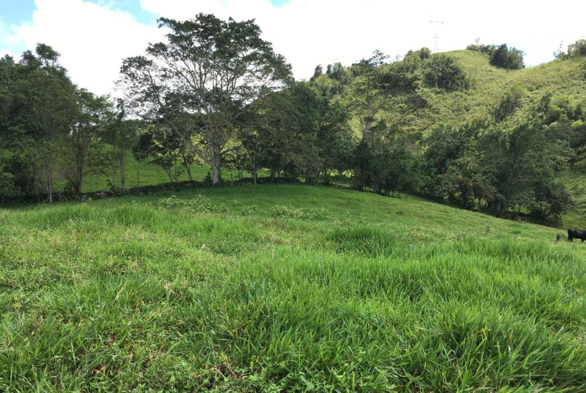 Third image of Chippenham Park, Bamboo in Bamboo, St. Ann, Jamaica - property is For Sale
