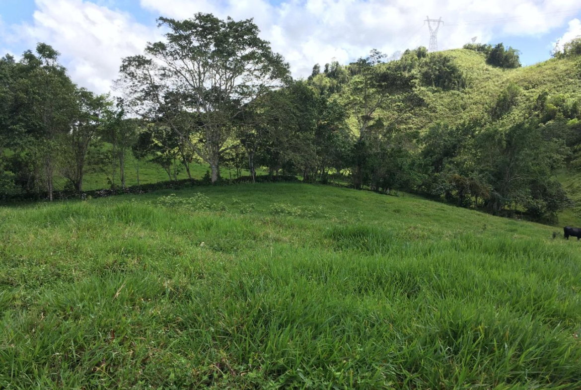 Fourth image of Chippenham Park, Bamboo in Bamboo, St. Ann, Jamaica - property is For Sale