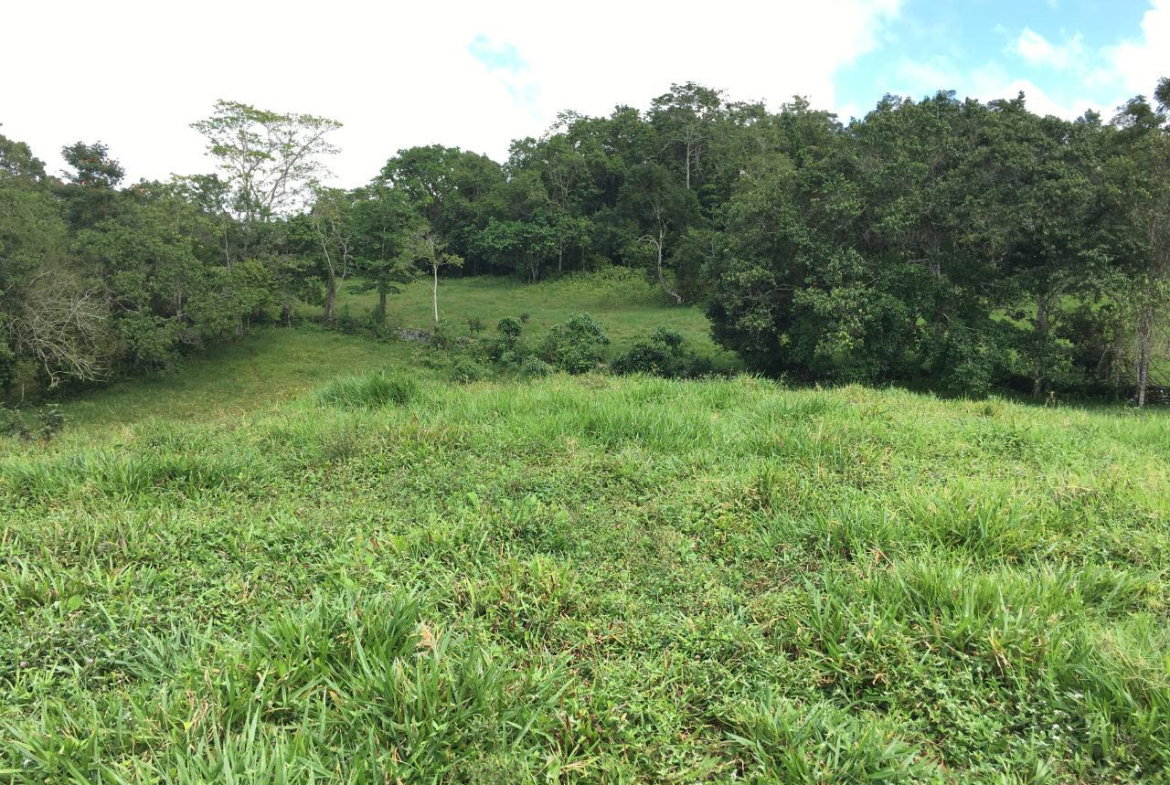Fifth image of Chippenham Park, Bamboo in Bamboo, St. Ann, Jamaica - property is For Sale