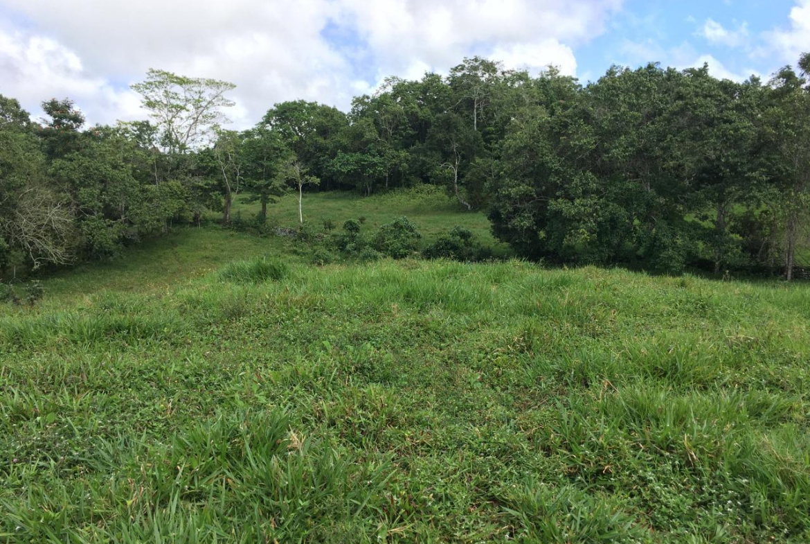 Sixth image of Chippenham Park, Bamboo in Bamboo, St. Ann, Jamaica - property is For Sale