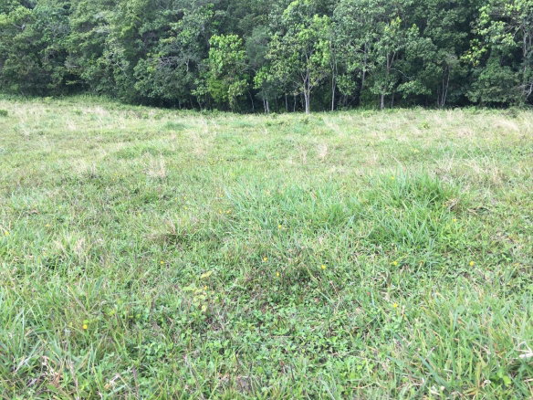 First image of Chippenham Park, Bamboo in Bamboo, St. Ann, Jamaica - property is For Sale