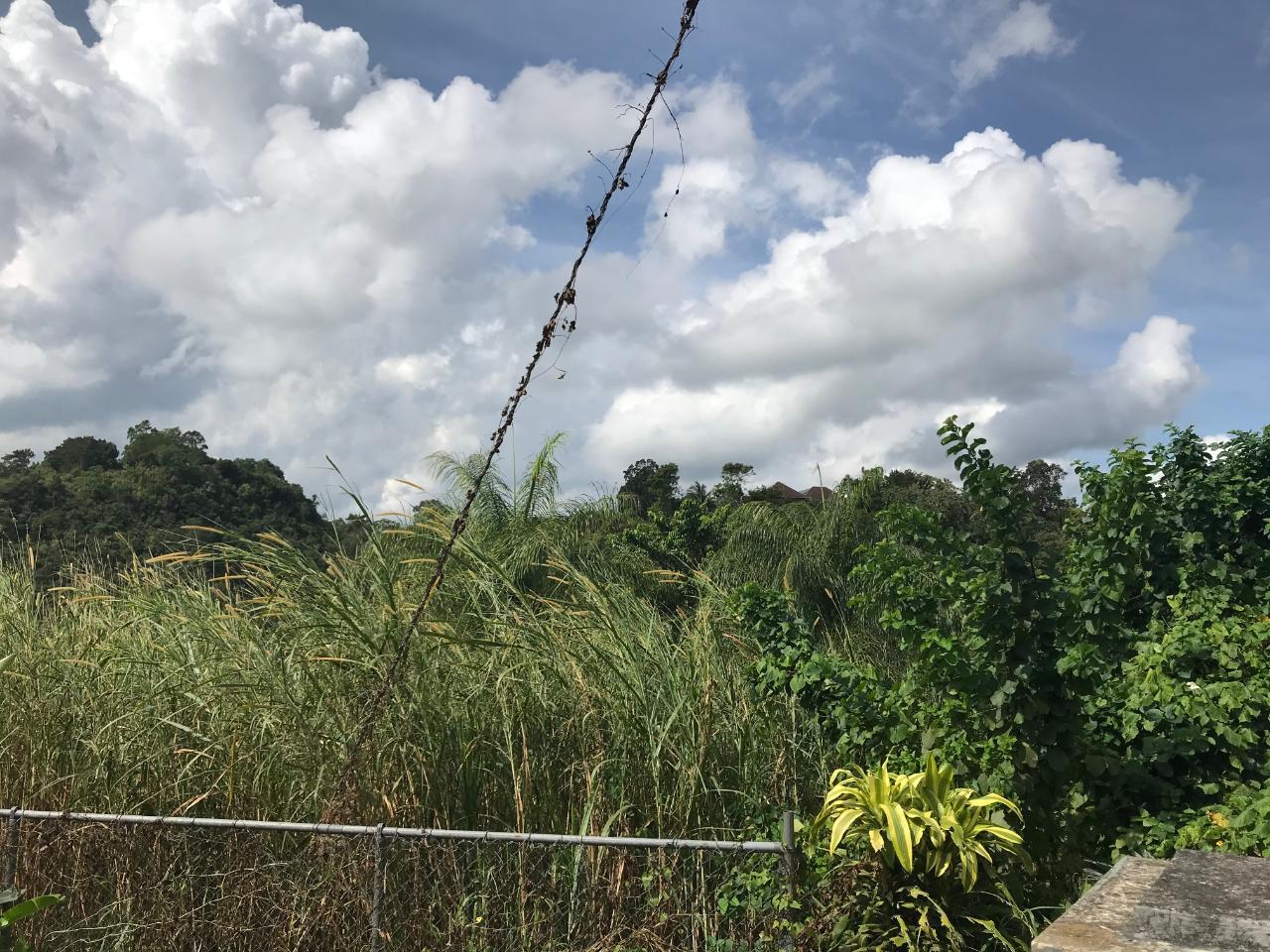 Thirteenth image of 18 Sherbourne Heights in Kingston 9, St. Andrew, Jamaica - property is For Sale