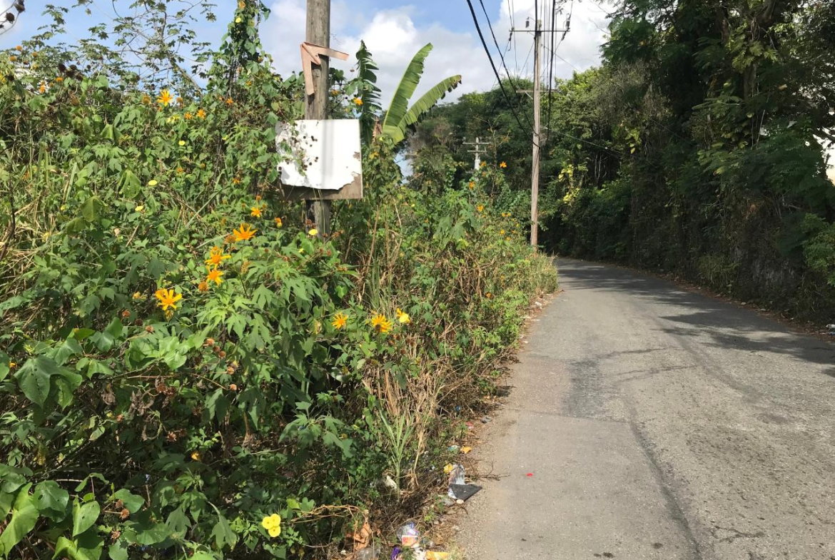 Fifteenth image of 18 Sherbourne Heights in Kingston 9, St. Andrew, Jamaica - property is For Sale