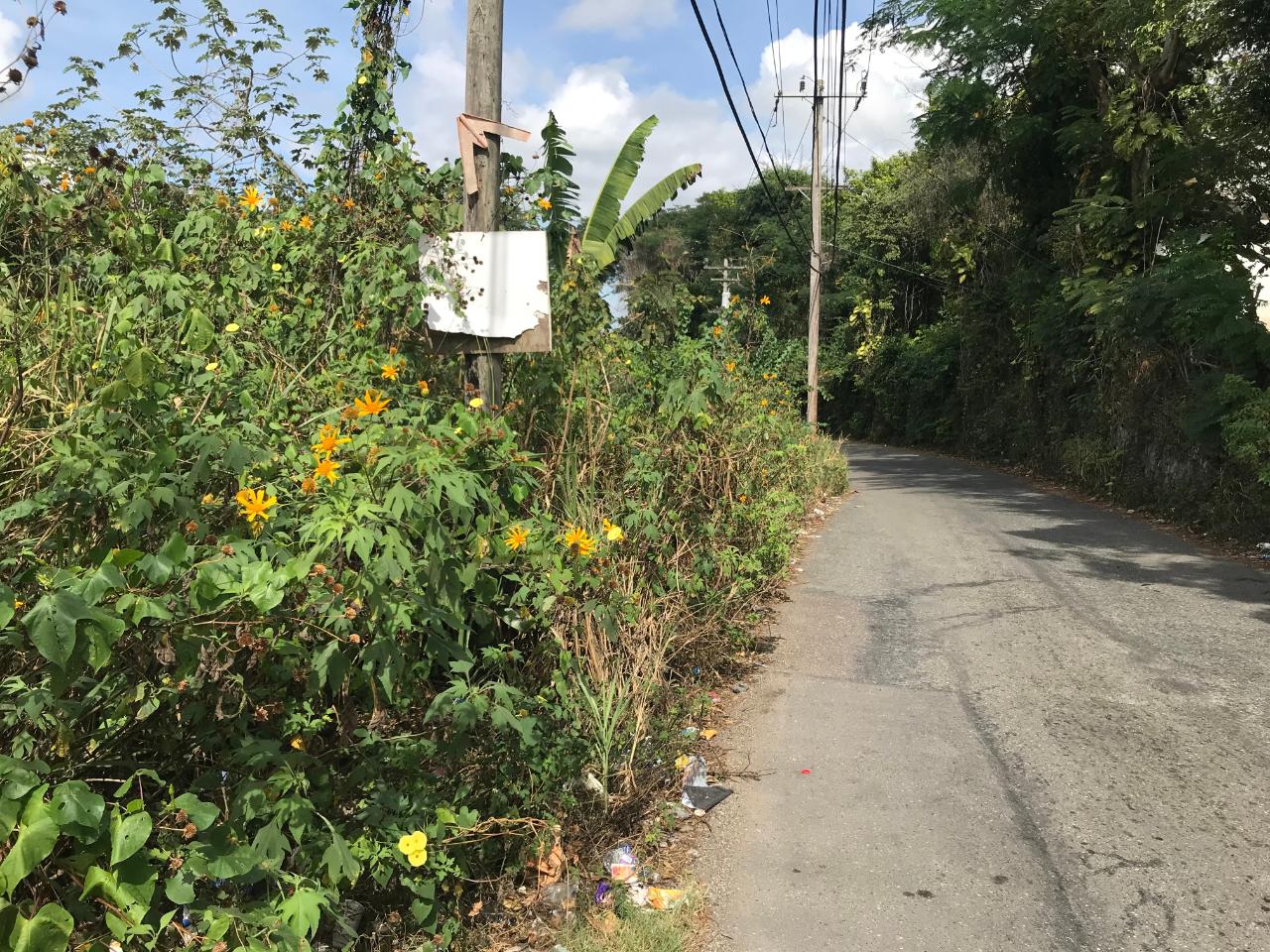 Fifteenth image of 18 Sherbourne Heights in Kingston 9, St. Andrew, Jamaica - property is For Sale