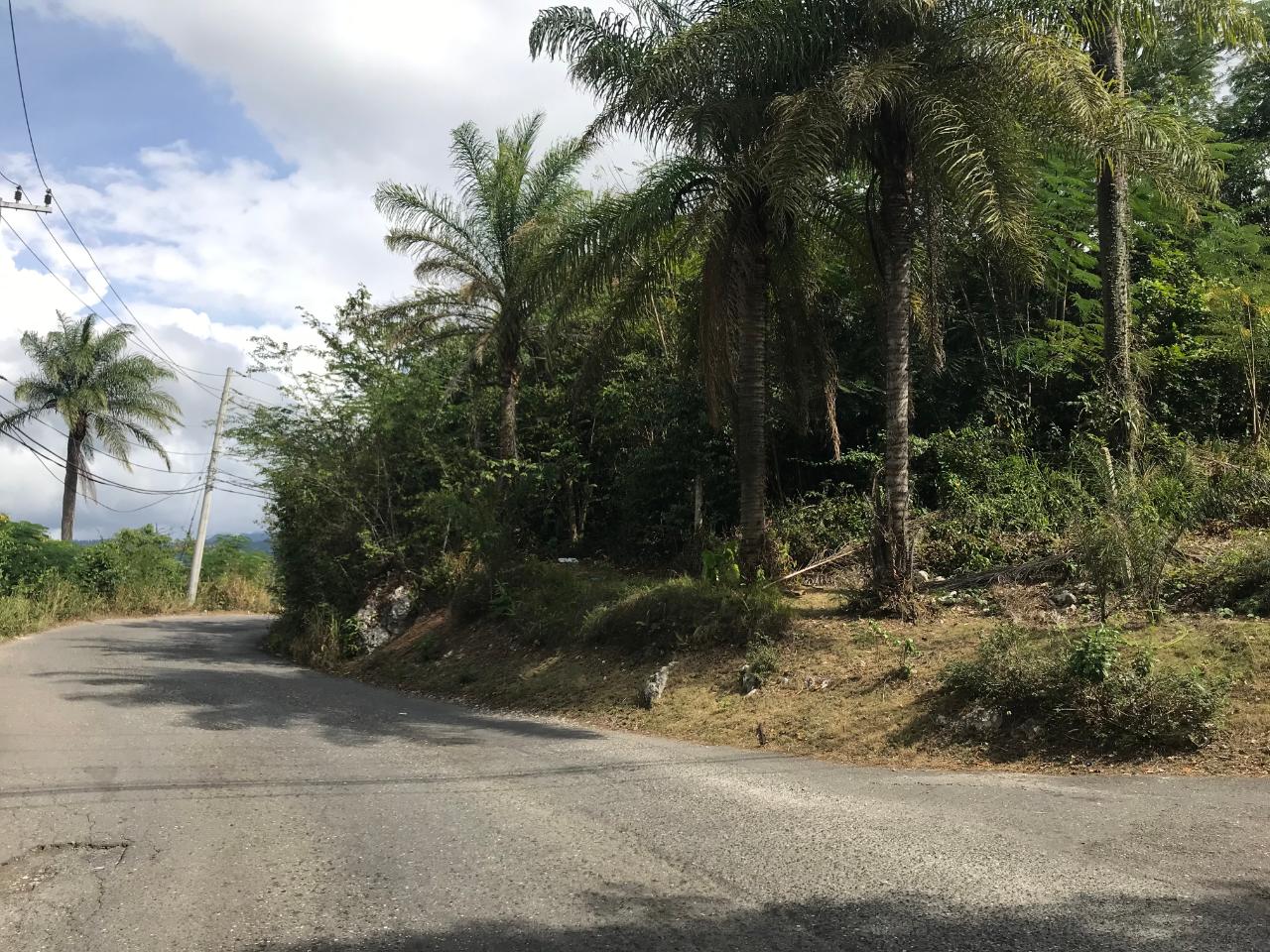 Twenty-First image of 18 Sherbourne Heights in Kingston 9, St. Andrew, Jamaica - property is For Sale