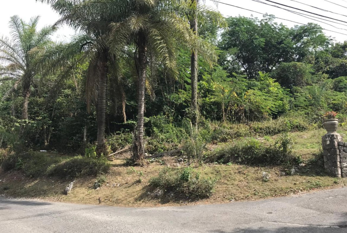 Twenty-Seventh image of 18 Sherbourne Heights in Kingston 9, St. Andrew, Jamaica - property is For Sale