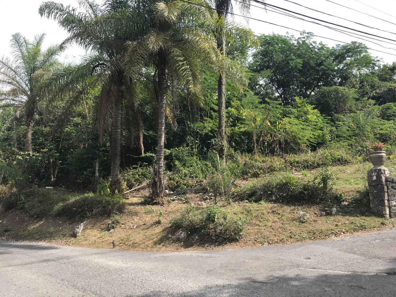 Twenty-Seventh image of 18 Sherbourne Heights in Kingston 9, St. Andrew, Jamaica - property is For Sale